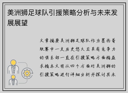 美洲狮足球队引援策略分析与未来发展展望