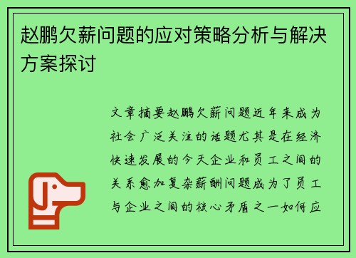 赵鹏欠薪问题的应对策略分析与解决方案探讨 赵鹏欠薪问题的应对策略分析与解决方案探讨